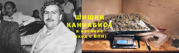 прущая мука Богданович